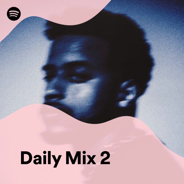 Daily Mix Spotify Playlist