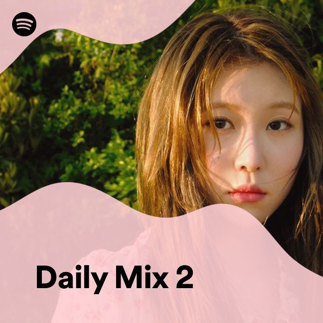 Daily Mix 2 Spotify Playlist