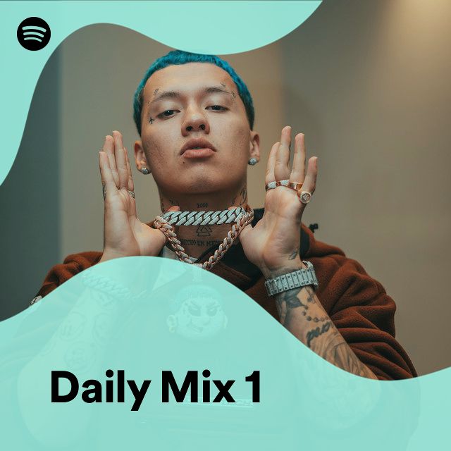 Daily Mix 1 Spotify Playlist