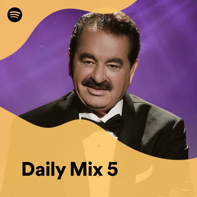 Daily Mix 5 Spotify Playlist
