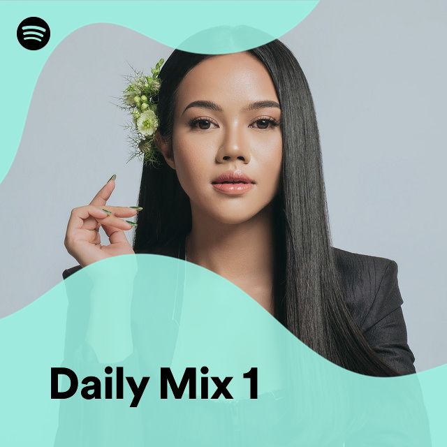 Daily Mix 1 Spotify Playlist