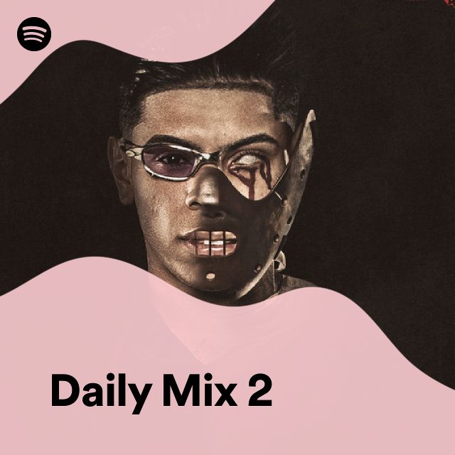 Daily Mix Spotify Playlist