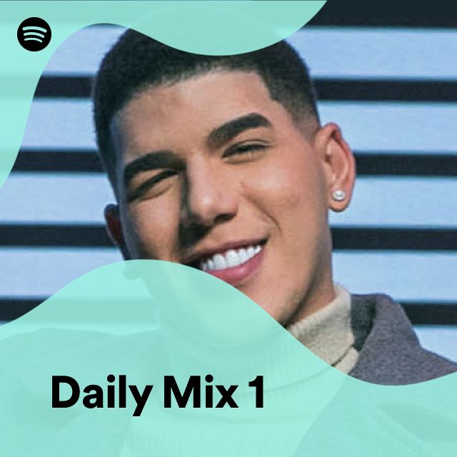 Daily Mix 1 | Spotify Playlist