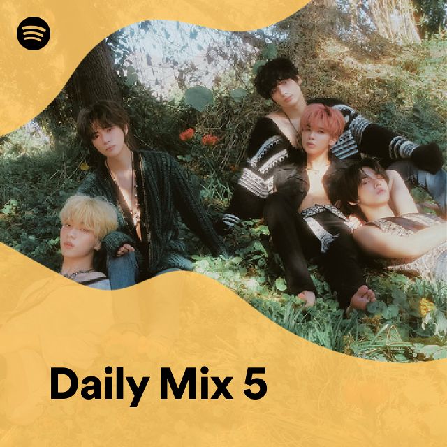 Daily Mix 5 Spotify Playlist