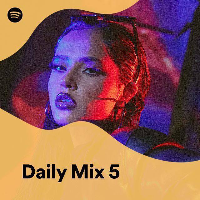 Daily mix 5 spotify playlist