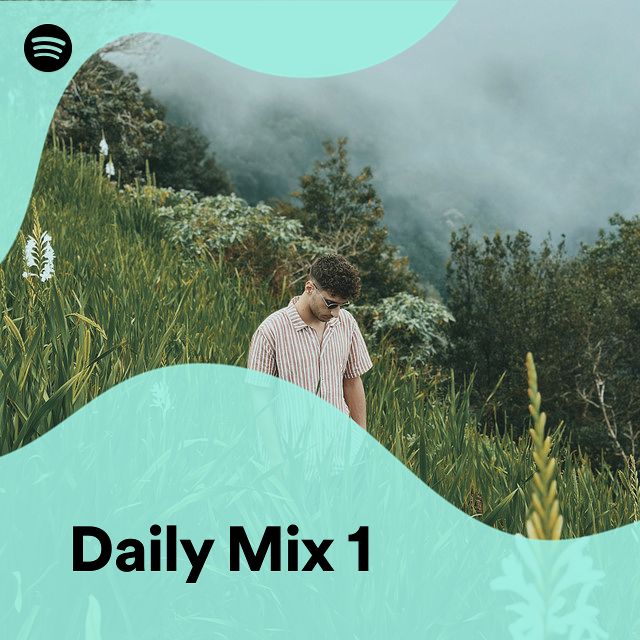 Daily Mix 1 Spotify Playlist