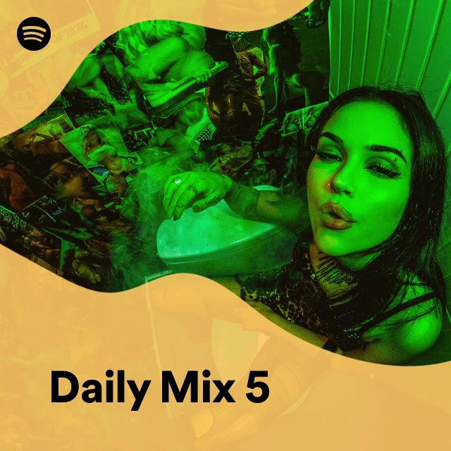 Daily Mix 5 Spotify Playlist 